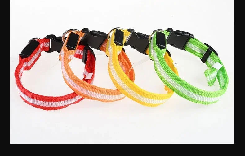 LED Nylon Dog Collar – Glow in the Dark Safety Collar