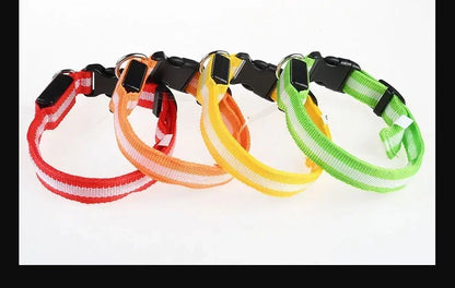 LED Nylon Dog Collar – Glow in the Dark Safety Collar