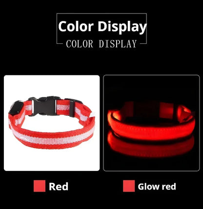 LED Nylon Dog Collar – Glow in the Dark Safety Collar