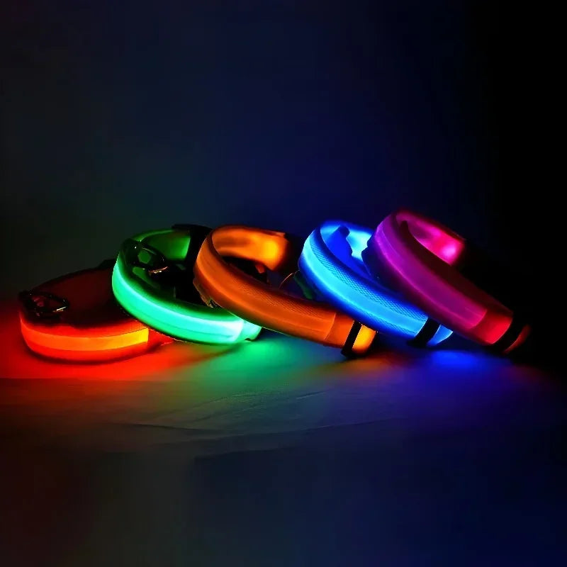 LED Nylon Dog Collar – Glow in the Dark Safety Collar
