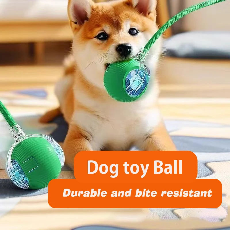 Automatic Rolling Dog Ball – Interactive Smart Toy for Puppies