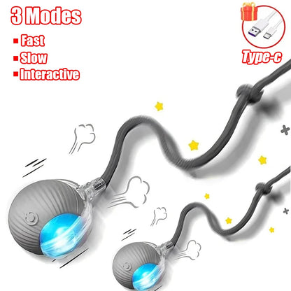 Automatic Rolling Cat & Dog Ball – Rechargeable Smart Interactive Toy