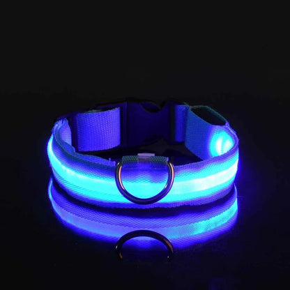 LED Nylon Dog Collar – Glow in the Dark Safety Collar