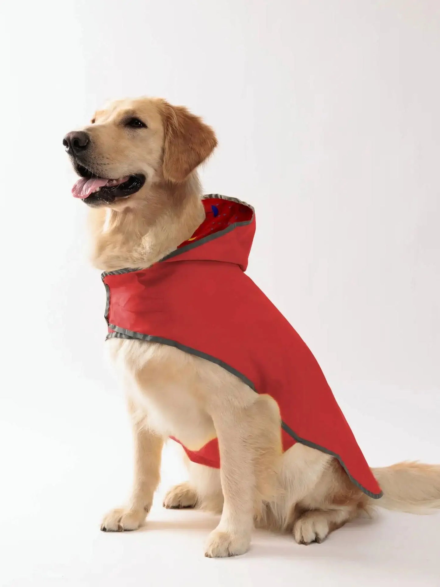 Double-Layer Yellow Dog Raincoat – Two-Way Wear