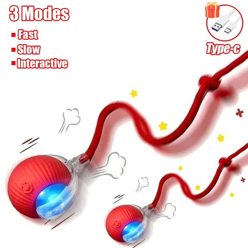 Automatic Rolling Cat & Dog Ball – Rechargeable Smart Interactive Toy