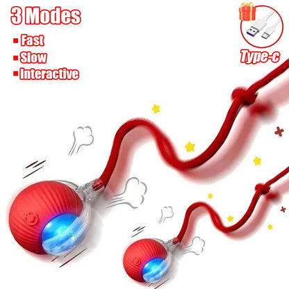 Automatic Rolling Cat & Dog Ball – Rechargeable Smart Interactive Toy