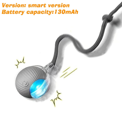 Automatic Rolling Dog Ball – Interactive Smart Toy for Puppies