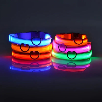 LED Nylon Dog Collar – Glow in the Dark Safety Collar