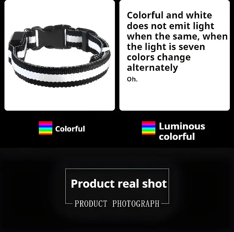 LED Nylon Dog Collar – Glow in the Dark Safety Collar