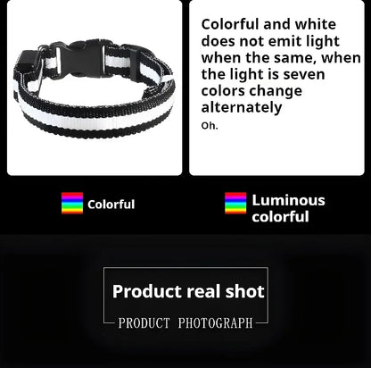 LED Nylon Dog Collar – Glow in the Dark Safety Collar