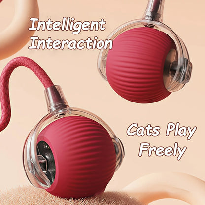 Automatic Rolling Cat & Dog Ball – Rechargeable Smart Interactive Toy