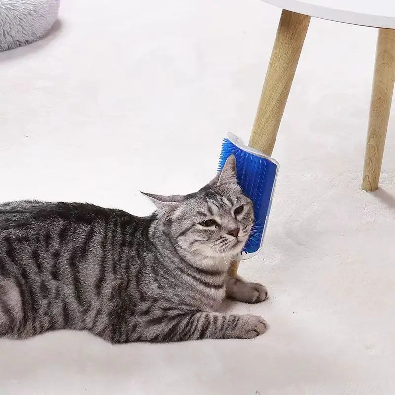 Cat Massage & Hair Removal Wall Brush – Self-Cleaning Pet Grooming Tool