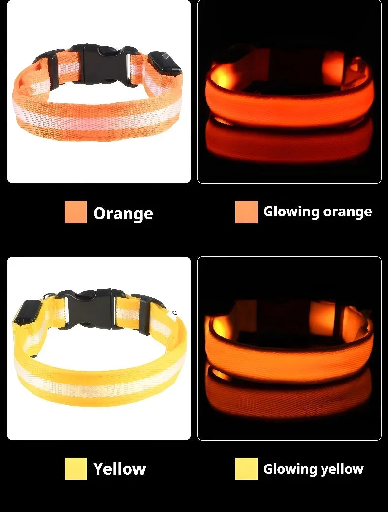 LED Nylon Dog Collar – Glow in the Dark Safety Collar