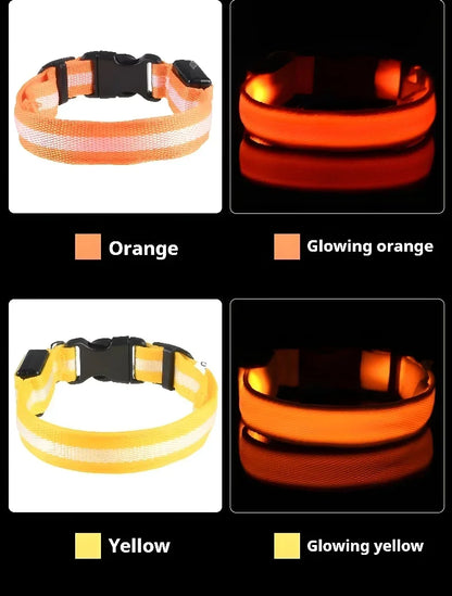 LED Nylon Dog Collar – Glow in the Dark Safety Collar