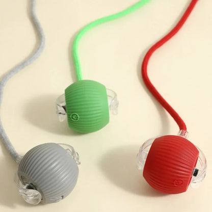 Automatic Rolling Dog Ball – Interactive Smart Toy for Puppies