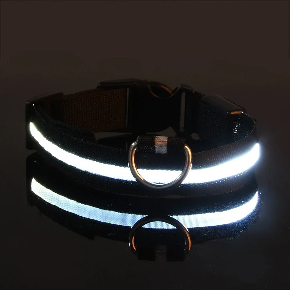 LED Nylon Dog Collar – Glow in the Dark Safety Collar