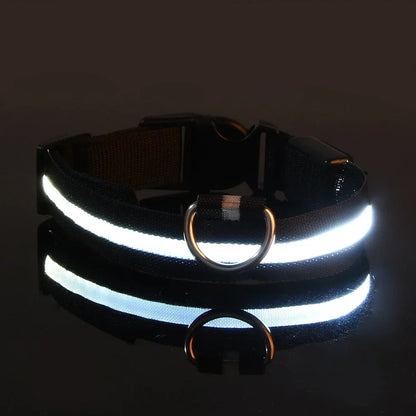 LED Nylon Dog Collar – Glow in the Dark Safety Collar