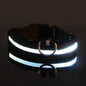 LED Nylon Dog Collar – Glow in the Dark Safety Collar