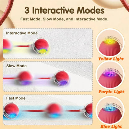 Automatic Rolling Dog Ball – Interactive Smart Toy for Puppies