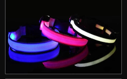 LED Nylon Dog Collar – Glow in the Dark Safety Collar