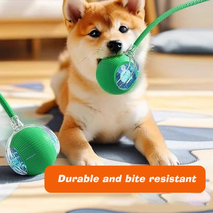 Automatic Rolling Dog Ball – Interactive Smart Toy for Puppies