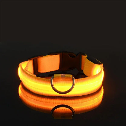 LED Nylon Dog Collar – Glow in the Dark Safety Collar