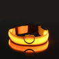 LED Nylon Dog Collar – Glow in the Dark Safety Collar