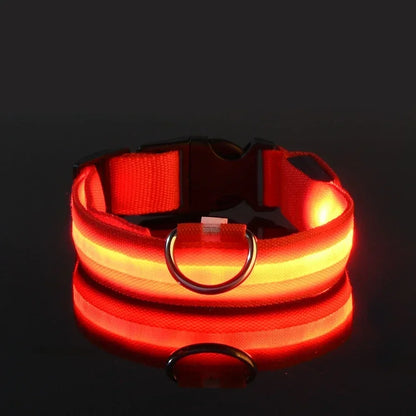 LED Nylon Dog Collar – Glow in the Dark Safety Collar