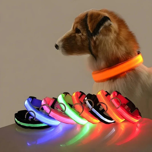 LED Nylon Dog Collar – Glow in the Dark Safety Collar