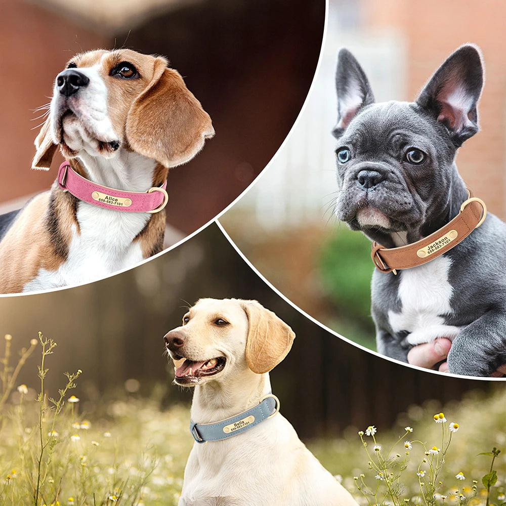 Personalized PU Leather Dog Collar with Free Engraved ID Tag