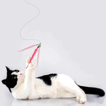 Replaceable Plush Cat Toy Worm Heads – Funny Cat Stick Accessories (5/6/10/11 Pcs)