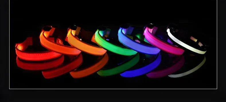 LED Nylon Dog Collar – Glow in the Dark Safety Collar