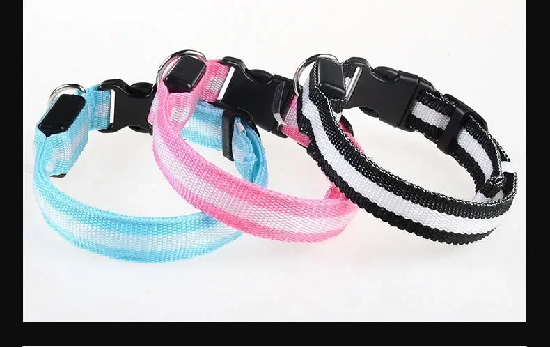 LED Nylon Dog Collar – Glow in the Dark Safety Collar
