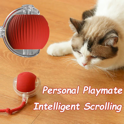 Automatic Rolling Cat & Dog Ball – Rechargeable Smart Interactive Toy
