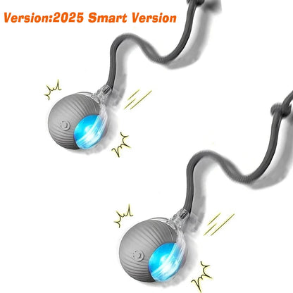 Automatic Rolling Dog Ball – Interactive Smart Toy for Puppies