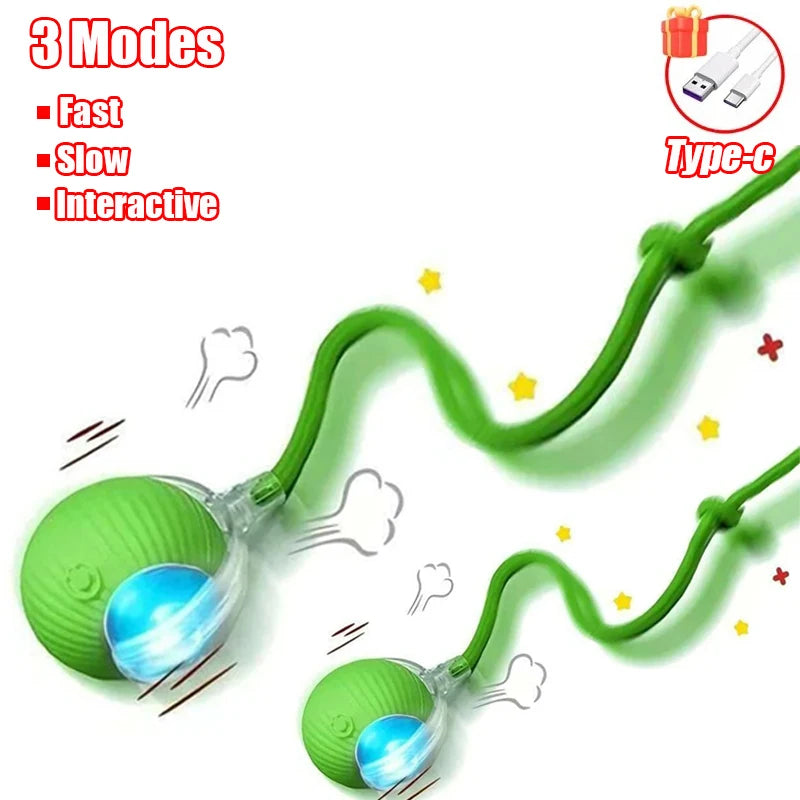 Automatic Rolling Cat & Dog Ball – Rechargeable Smart Interactive Toy
