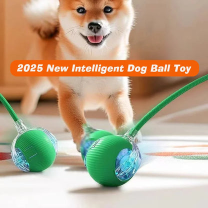Automatic Rolling Dog Ball – Interactive Smart Toy for Puppies