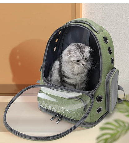 Transparent Pet Carrier Backpack – Travel Bag for Cats & Small Dogs