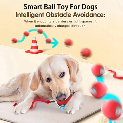 Automatic Rolling Dog Ball – Interactive Smart Toy for Puppies