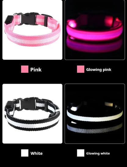 LED Nylon Dog Collar – Glow in the Dark Safety Collar
