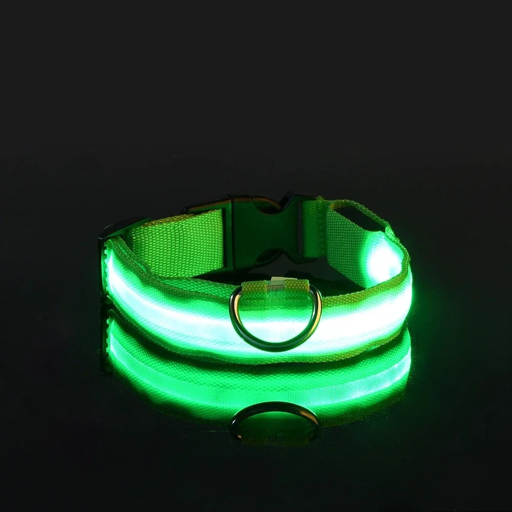 LED Nylon Dog Collar – Glow in the Dark Safety Collar