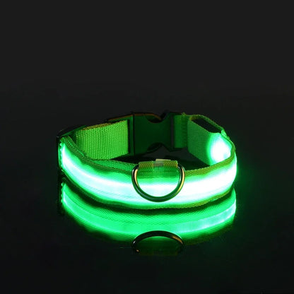 LED Nylon Dog Collar – Glow in the Dark Safety Collar