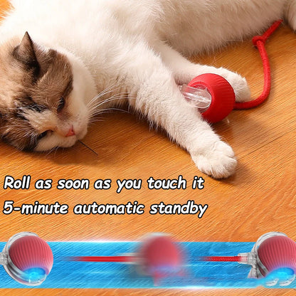 Automatic Rolling Cat & Dog Ball – Rechargeable Smart Interactive Toy